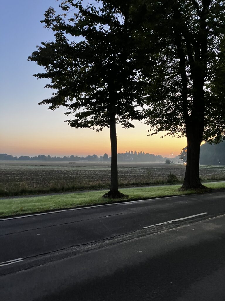 Sonnenaufgang an der Kalkumer Schlossallee in Düsseldorf 2
