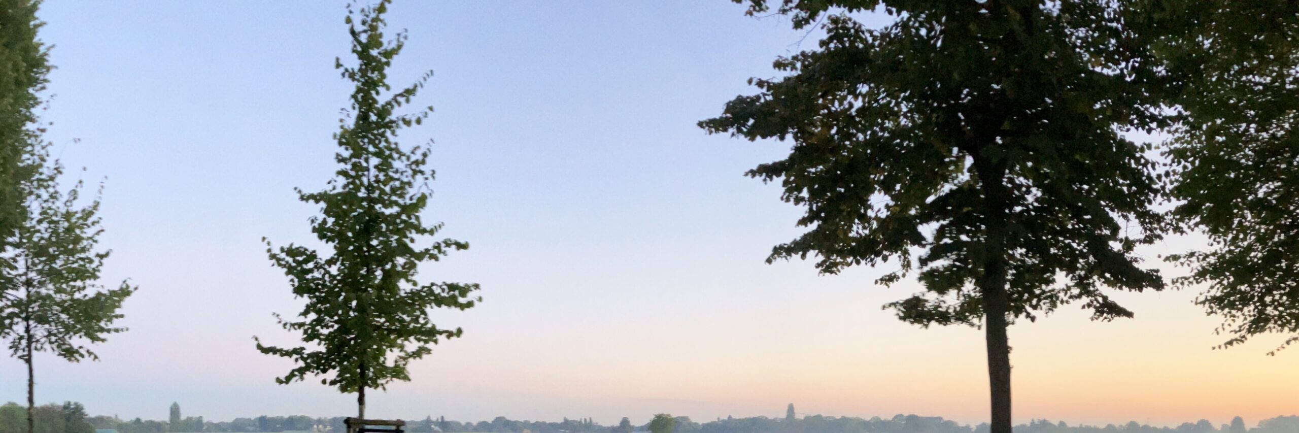 Banner Sonnenaufgang Kalkumer Schloßallee