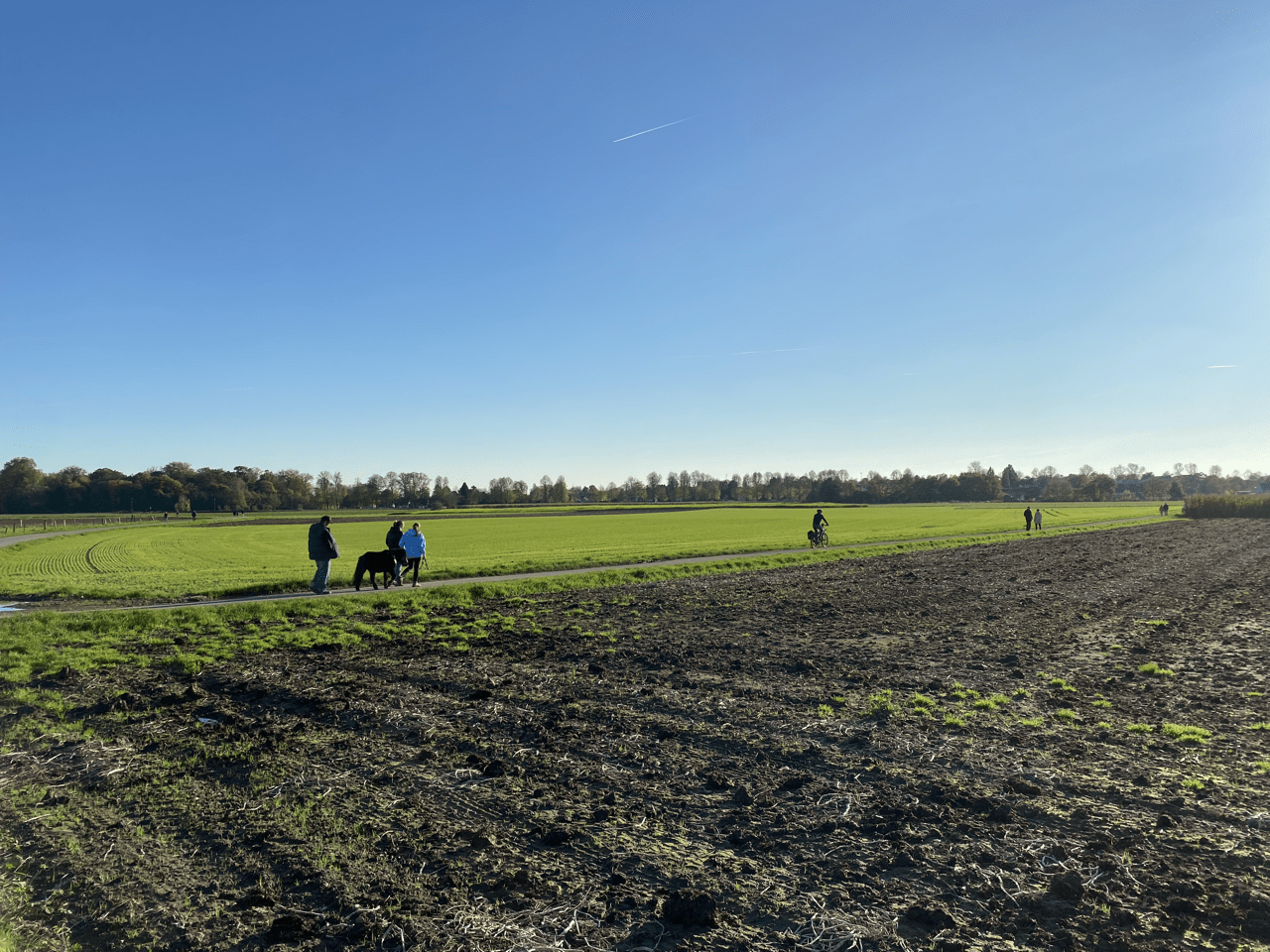 Panorama Feld 1-Aktuelles