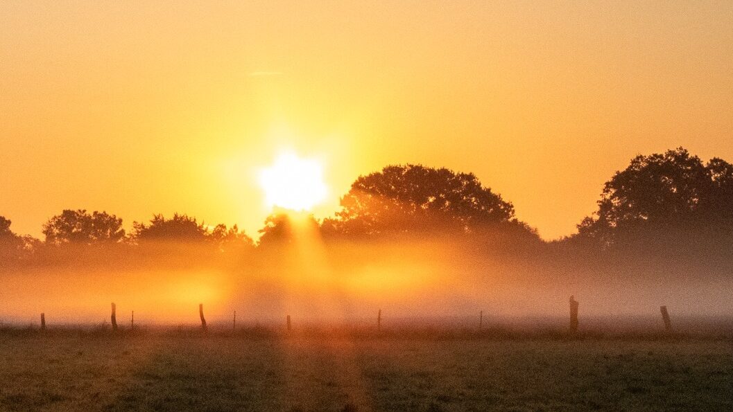 Feld Sonnenuntergang Grüner Norden Düsseldorf